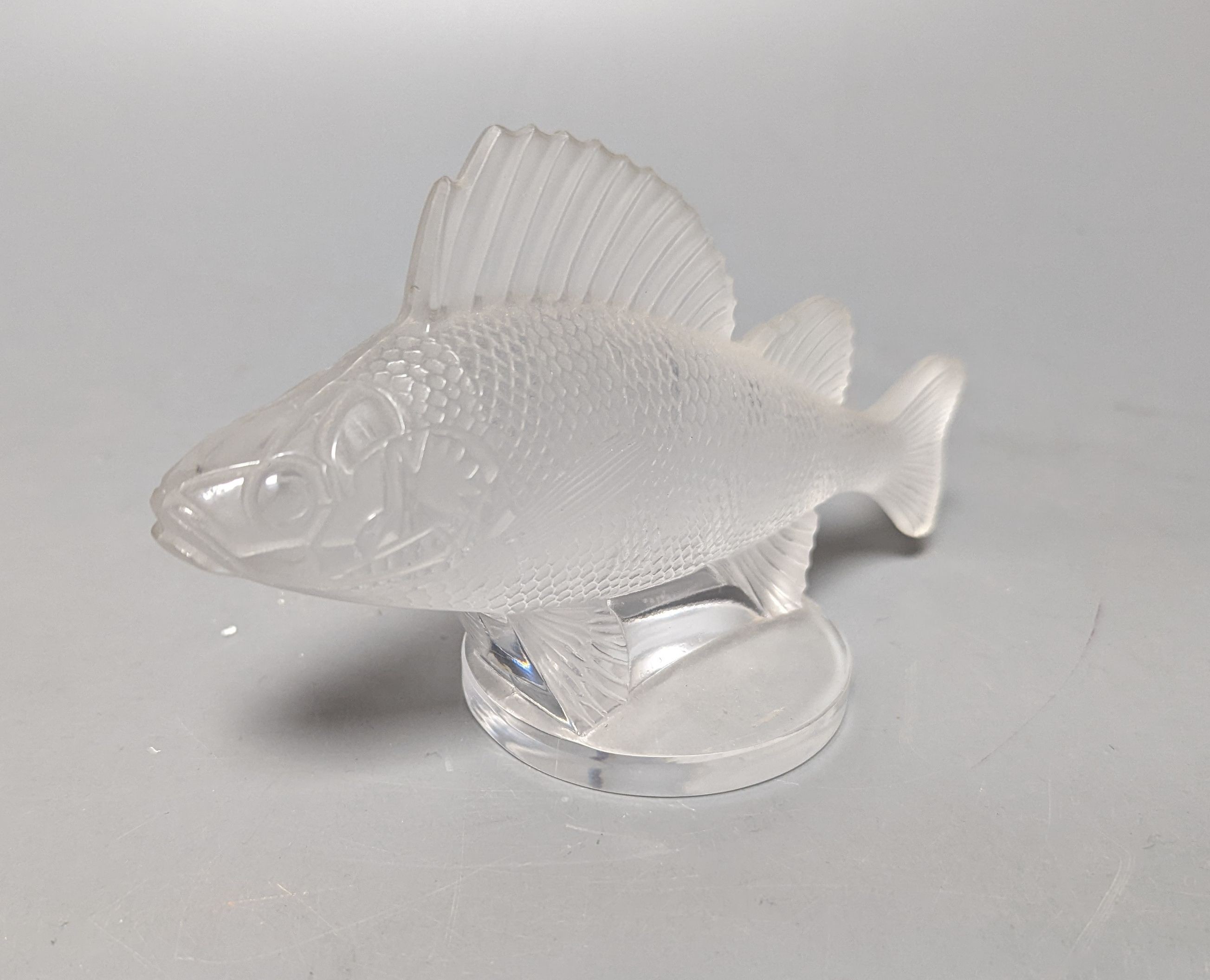 A Lalique clear and frosted glass Perche Poisson / Perch Fish car mascot, engraved mark Lalique France, 6cm long
